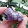 Ladeukoi Carving Amethyst Stone Frog Statue, Healing Crystal Animal Pocket