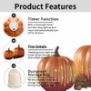 Maikaibuzi Starry Night Pumpkins, Illuminated LED Light Pumpkins, Lighted Sparkling