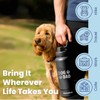Dog Water Bottle for Dog Dads - 32 oz Stainless