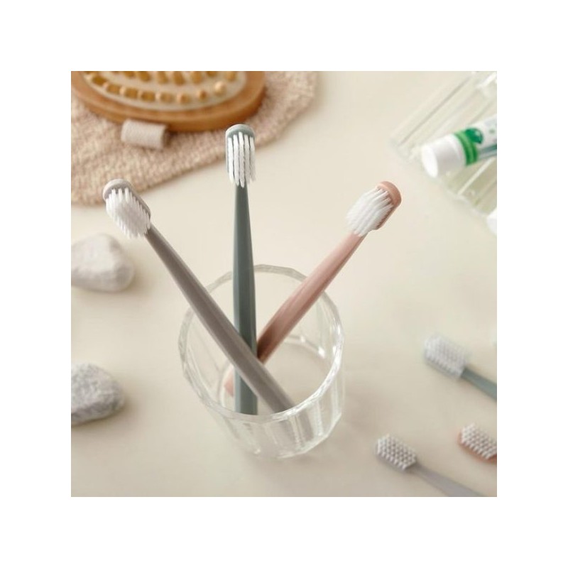 Modern House Refreshing Toothbrush Large Capacity Fine Bristles 25P /