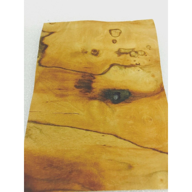 Pimento Pepperwood Burl wood veneer 3" x 5" raw with