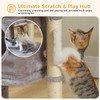 PAWZ Road Cat Scratching Post and Pad, Sisal-Covered Scratch Posts