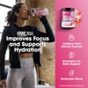 Amino Energy Powder Plus Focus - Watermelon Flavor
