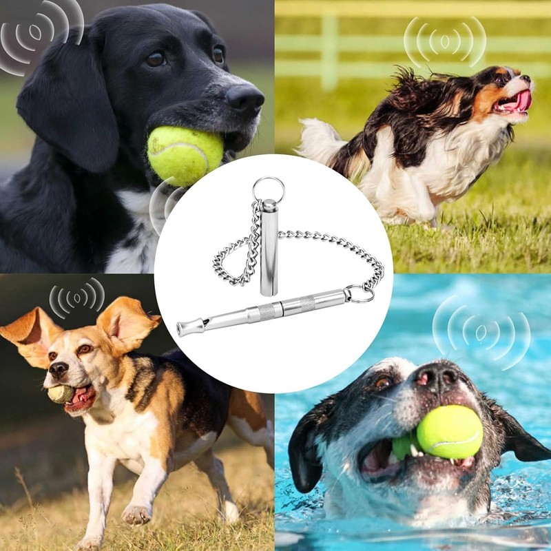 AHEJIOO Dog Whistle Rütter Recall - Metal Whistle with Necklace