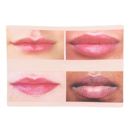 2pcs Lip Practice Skin 4 Lip Shapes Permanent Makeup Lip Practice Skin Silicone Lip Fake Skin Reusable Microblading Practice Sheet