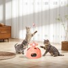 Crazydeer Interactive Cat Toy for Indoor Cats, 4-in-1 Modular Design