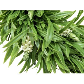 EUROPALMS Lavender Wreath 30 cm (9639397586848)