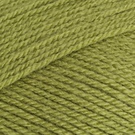 Meadow Green Stylecraft Special DK Yarn - 100g Skein, 295m Length, DK Weight
