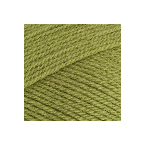 Meadow Green Stylecraft Special DK Yarn - 100g Skein, 295m