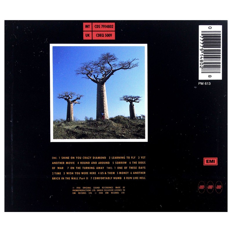 Delicate Sound of Thunder