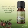 MEVA Esencias para Difusores y Humidificadores de Aromas 5ml Varios