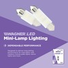 Wagner Lighting BP3156WLED LED Miniature Bulb