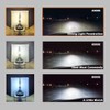 TECTICO Xenon Bulb 12 V 35 W, Extreme Vision, More