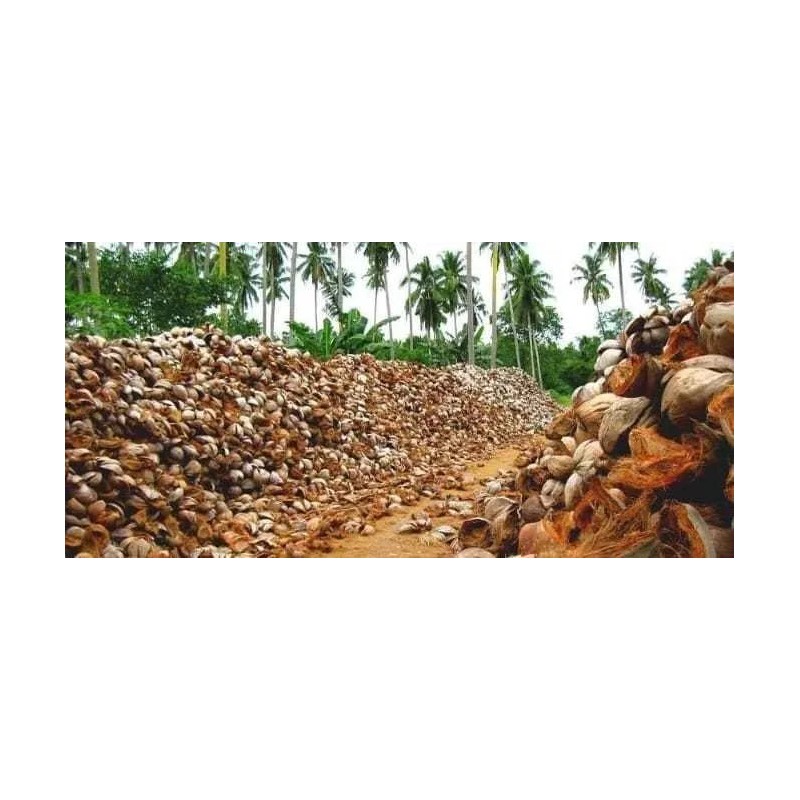 carbón activado Borgatta Carbon Activado Cascara De Coco Abono Cisco