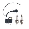 Hippotech Ignition Coil with Ignition Pack of 2 for Stihl