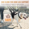 Dog Lift Harness for Extra Large Dogs, Harness with Handle