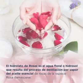 Hidrolato de Rosas Hebbe Cosmetics 1L Tónico Facial Piel Sensible y Mixta