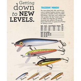 Rebel Lures Tracdown Minnow Slow-Sinking Crankbait Fishing Lure - Great for Bass, Trout and Walleye, Slick Rainbow Trout, 2 1/2 in, 5/32 oz (TD50493)