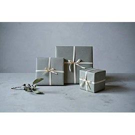 Cutipol GOA Red Silver Table Fork G004R