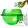 PAVIKE Reptile Feeder, Reptile Feeder, Reptile Feeding Bowl, Reptile Feeding