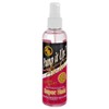 BB Pump It Up Gold Styling Spritz Super Hold 8