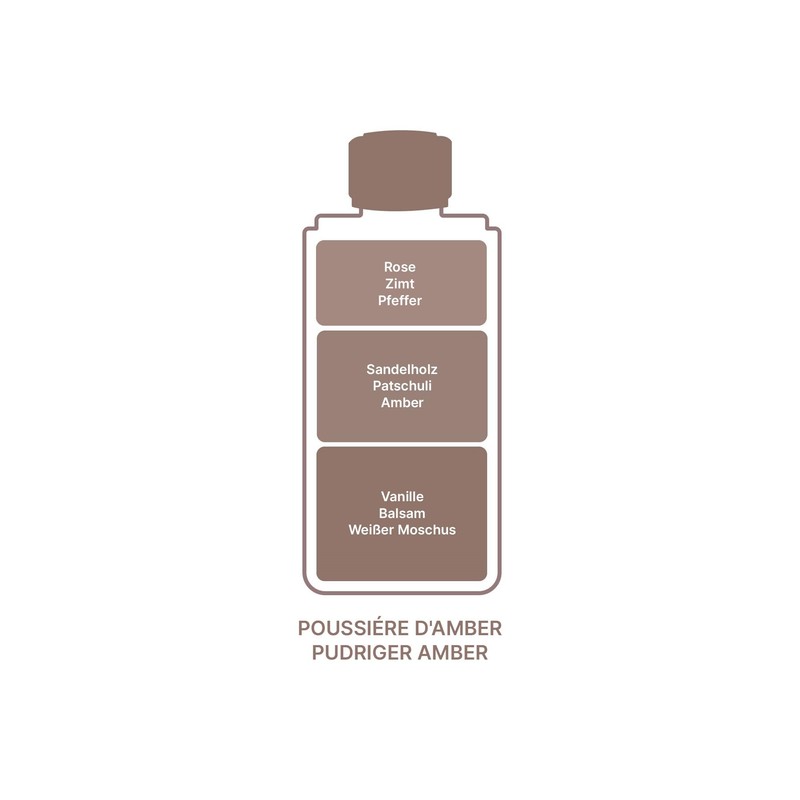 LAMPE BERGER Paris Ambre Fragrances 1000 ml