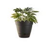 Northcote Pottery Leonard Self-Watering Pot, 20 x 18 cm Size,