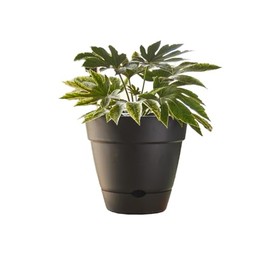 Northcote Pottery Leonard Self-Watering Pot, 20 x 18 cm Size, Black