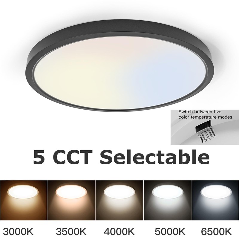 TALOYA 10 Inch Black LED Ceiling Light Fixture Flush Mount,