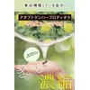 TAH ロディオラロゼア Rhodiola 300mg アダプトゲン 30粒 国内製造 イワベンケイ ロディオラ ロザビン2%+