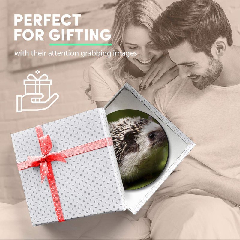 1 x Round MDF Magnet - Hedgehog Garden Wildlife British