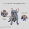 Vivid Arts (Blue French Bulldog Sitting
