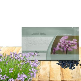 Outsidepride Society Garlic Seeds for Planting - 100 Pcs Perennial, Low Maintenance, Purple Flowers, Fresh for Herb Gardens, Culinary Use, Easy to Grow, Vibrant Blooms