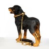 Designer Dog Collar Gold Metal Stainless Steel with Zirconia Lock