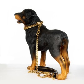 Designer Dog Collar Gold Metal Stainless Steel with Zirconia Lock 14mm 18K Gold Big Dog Luxury Training Collar Cuban Lock Link Necklace Chain(12 inch)