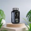 VITO - Glutatión con Ácido Alfa Lipoico - 60 Cápsulas