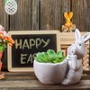 QUINTRA Easter Bunny Mini Ceramic Succulent Pots Thumb Flower Pots