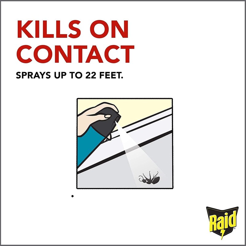 Raid Wasp Hornet Killer Spray (14 Ounce (Pack of 10))