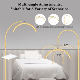 Mznoo Lash Light with Tool Tray, Half Moon Floor Lamp for Eyelash Extensions, Nail Art, Tattoo Art and Skincare, Adjustable Color Modes and Flexible Gooseneck (Gold)