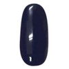 Prigel Gel Nail Color EX Navy 259