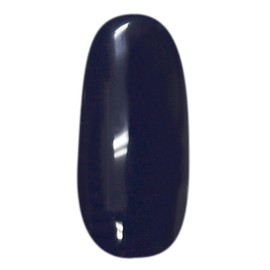 Prigel Gel Nail Color EX Navy 259