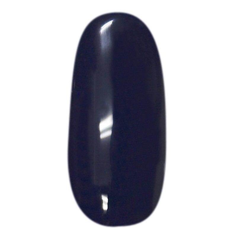 Prigel Gel Nail Color EX Navy 259