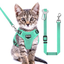 Kitten Harness and Leash Seat, The Upgrade Can be Adjusted in Four Directions and Breathable Cat Harness for Anti Escape That can be Fitted and Positioned, Reflective Strips Harness, Green,XXS