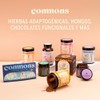 Commons Hongos Adaptógenos - Hongo de Baya Schisandra - Extracto