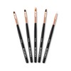 BLUESKY Gel Nail Art Brushes, 5 Pieces Fine Tip Angled