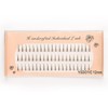 60 Pcs & 120 Bundles Free Union False Eyelashes Mixed