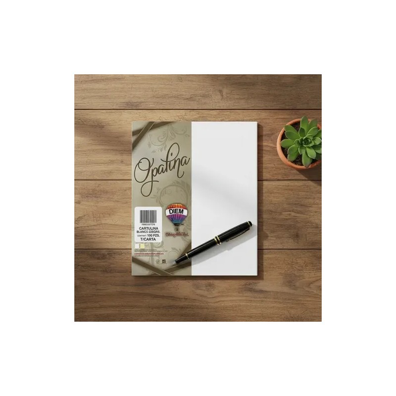Hojas Papel Opalina Diem Blanco 225g Carta Paquete 100 Hojas