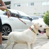 TSPRO Training Lead for Dogs, Short Guide Dog for Large