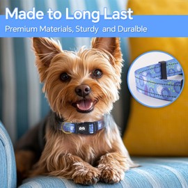 QQPETS Reflective Dog Collar for Small Dogs, Cute Graffiti Style Adjustable Heavy Duty Nylon Collar for Boy and Girl Puppy，Soft Pet Necklace with Quick Release Buckle, Blue