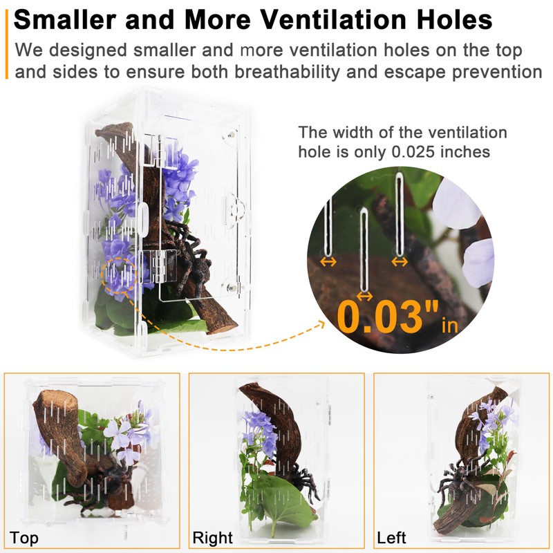 Jumping Spider Enclosure, Spider Terrarium, Acrylic Enclosure Kit, Small Terrarium,
